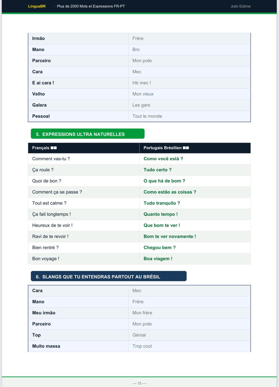 Page du guide LinguaBR — Expressions naturelles et slangs brésiliens